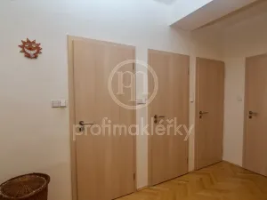 Pronájem bytu 3+kk, Brno - Veveří, Antonínská, 76 m2
