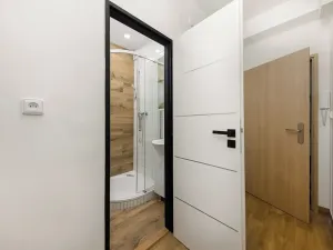 Prodej bytu 2+1, Brno, Výstavní, 55 m2