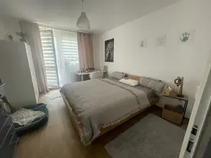 Pronájem bytu 2+1, Břeclav, 58 m2