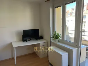 Pronájem bytu 1+kk, Praha - Nusle, Bohuslava ze Švamberka, 25 m2