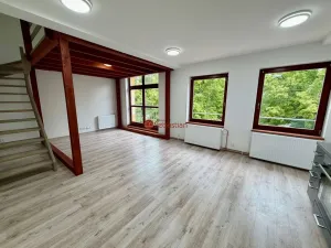 Pronájem bytu 1+kk, Litvínov - Horní Litvínov, náměstí Míru, 60 m2