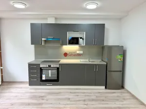 Pronájem bytu 1+kk, Litvínov - Horní Litvínov, náměstí Míru, 60 m2