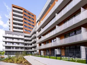 Pronájem bytu 1+kk, Praha - Vysočany, Gerstelova, 33 m2