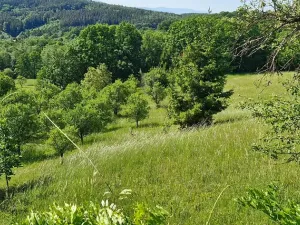 Prodej pozemku pro bydlení, Luhačovice, 17000 m2