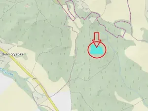 Prodej lesa, Úštěk, 9179 m2