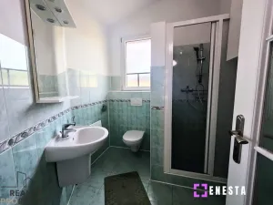 Pronájem bytu 1+kk, Tursko, Ke Statkům, 50 m2