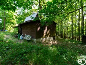 Prodej chaty, Kaliště - Lensedly, 41 m2