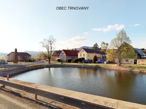 Prodej pozemku pro bydlení, Trnovany, 2733 m2