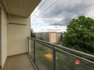 Prodej bytu 3+1, Plzeň - Skvrňany, Pecháčkova, 74 m2