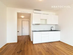 Pronájem bytu 1+kk, Praha - Karlín, Křižíkova, 32 m2