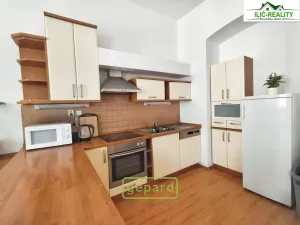 Pronájem bytu 2+kk, Plzeň, Skrétova, 78 m2