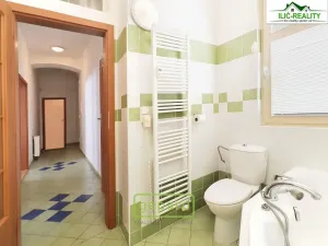 Pronájem bytu 2+kk, Plzeň, Skrétova, 78 m2