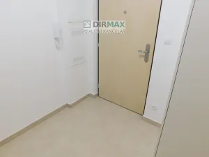 Pronájem bytu 1+kk, Plzeň - Jižní Předměstí, Magisterská, 32 m2