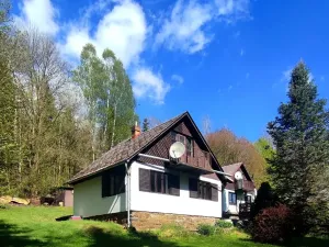 Prodej chaty, Vítkov - Zálužné, 60 m2