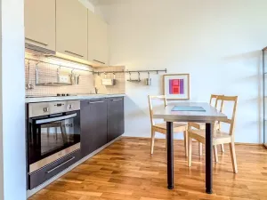 Pronájem bytu 1+kk, Praha - Žižkov, Havlíčkovo náměstí, 32 m2