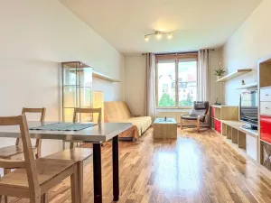 Pronájem bytu 1+kk, Praha - Žižkov, Havlíčkovo náměstí, 32 m2