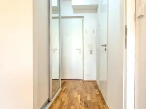 Pronájem bytu 1+kk, Praha - Žižkov, Havlíčkovo náměstí, 32 m2