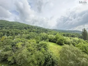 Prodej bytu 3+1, Krupka - Maršov, Dukelských hrdinů, 68 m2