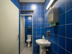Prodej komerční nemovitosti, Valašské Meziříčí, Poláškova, 250 m2