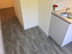 Pronájem bytu 1+1, Ostrava - Hrabůvka, U Haldy, 38 m2