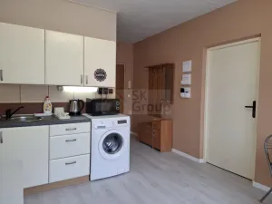 Pronájem bytu 1+1, Karlovy Vary - Drahovice, Lidická, 36 m2