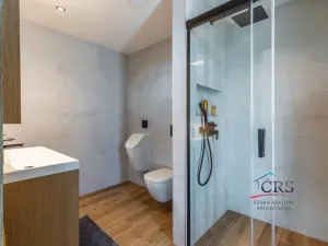 Prodej rodinného domu, Praha, Wiesenthalova, 151 m2