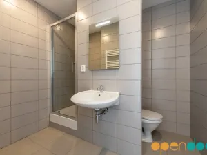 Pronájem bytu 1+1, Chomutov, Kamenná, 35 m2