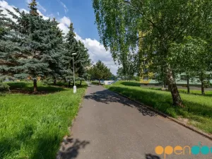 Pronájem bytu 1+1, Chomutov, Kamenná, 35 m2