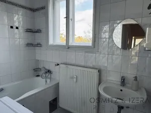 Pronájem bytu 1+1, Praha - Smíchov, Franty Kocourka, 55 m2