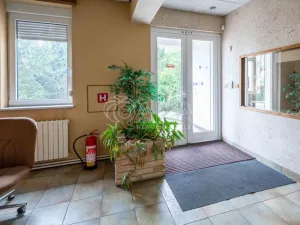 Pronájem kanceláře, Libiš, Školní, 201 m2