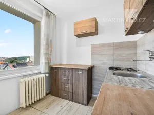 Prodej bytu 2+1, Praha - Michle, Na úlehli, 41 m2
