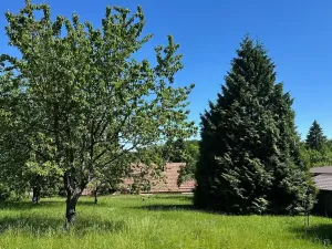Prodej rodinného domu, Benešov nad Černou, 120 m2