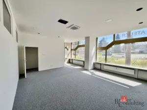 Pronájem kanceláře, Opava - Předměstí, náměstí Republiky, 141 m2