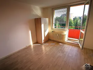 Pronájem bytu 1+kk, Jihlava, Okružní, 20 m2