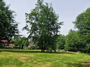 Prodej komerčního pozemku, Mařenice, 1610 m2