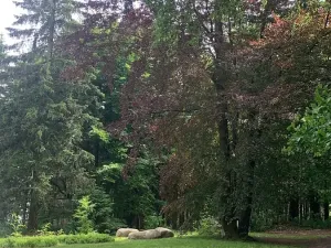 Prodej komerčního pozemku, Mařenice, 1610 m2