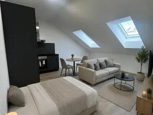 Pronájem bytu 1+kk, České Budějovice, Rudolfovská tř., 30 m2