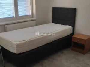 Pronájem bytu 1+kk, Přimda - Újezd pod Přimdou, 26 m2