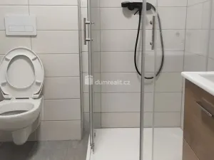 Pronájem bytu 1+kk, Přimda - Újezd pod Přimdou, 26 m2
