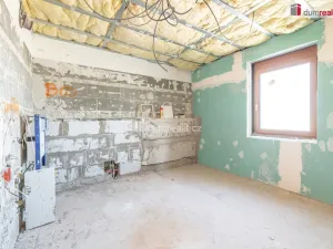Prodej rodinného domu, Sadov - Lesov, 300 m2