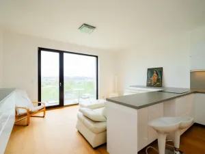Prodej bytu 1+kk, Praha - Hrdlořezy, V třešňovce, 41 m2