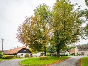 Prodej rodinného domu, Račice, 100 m2