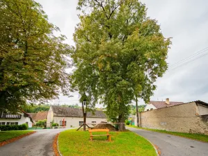 Prodej rodinného domu, Račice, 100 m2