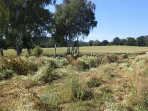 Prodej pozemku, Kamenný Újezd, 1948 m2