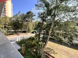 Pronájem bytu 1+kk, Plzeň, Heyrovského, 40 m2