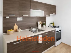Pronájem bytu 2+1, Paskov, Bělská, 48 m2