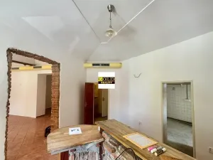 Pronájem obchodního prostoru, Praha - Žižkov, Bořivojova, 240 m2