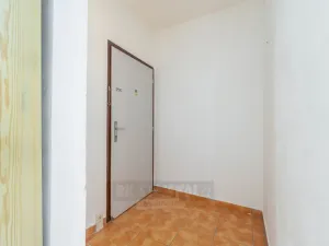 Prodej bytu 2+kk, České Budějovice - České Budějovice 2, K. Štěcha, 56 m2