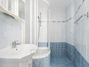 Prodej bytu 2+kk, České Budějovice - České Budějovice 2, K. Štěcha, 56 m2