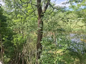 Prodej chaty, Týnec nad Sázavou - Pecerady, 30 m2